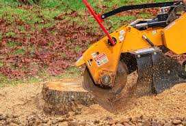 Best Commercial Tree Services  in Mpo, CA